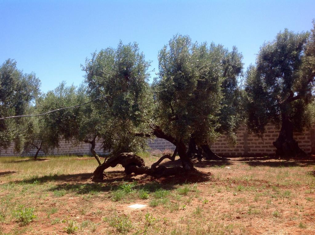 Gli Ulivi Residence Leverano Bagian luar foto